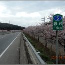 낙동강약국 이미지