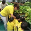 화명1동 주민센터 이미지