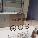 지역색을 살린 제주 맥주 이미지