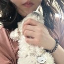 별이순대국 | 회사 건강검진 받고 심난한 3월의 일상