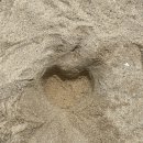 UR(강릉시)-[명륜로]-하-7 | 강릉당일치기 여행 이게 된다고!? (강릉갈만한곳 추천)