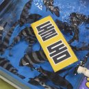 금강산수산횟집 | 감포수산시장 회 포장 추천｜수협 활어직판장 1층 11번 부부수산 세트메뉴 후기