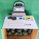 다정이네 이미지