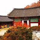 안국사 이미지