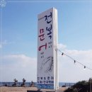전복마시문어마시