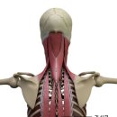 PT특별관 이미지