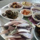 열여회식당 | 경남 고성 '수양식당' - 8천원 가성비 회백반, 허영만 백반기행 맛집, 현지인 맛집 노포 솔직 후기