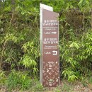 정선전씨 효부문 | 유네스코 세계문화유산 등재를 기다리는 반구대 암각화
