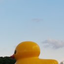 푸미흥 Giant Rubber Duck과 휴일 풍경 이미지