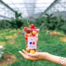 포항시북구32 이미지