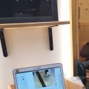 더 클리오헤어