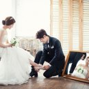 피오나 Daum카페