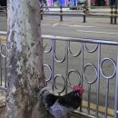 사가정로51길 (19) 이미지