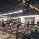 더뉴바디스미스 이미지