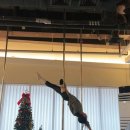 라인댄스 초급 | 일산 폴댄스 폴린이 국화의 599회차 수업 후기 초급 하프레이백