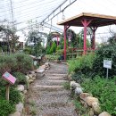 오색허브농원 이미지