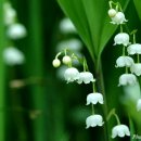 먹골사슴농장 이미지