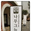 나무그늘 - 태안군 | 나무그늘