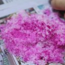 조원지역아동센터 이미지