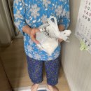 새인성약국 이미지