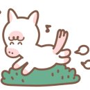 말달리자승마클럽