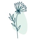 오투아트