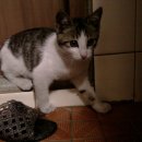 경안동-5 이미지