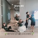 다우미 | [이니스프리 제주다우미 2019] 너무나도 즐거웠던 제주다우미 오리엔테이션 후기