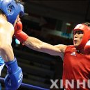 신화복싱체육관 이미지