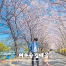 참사랑 경로당 | 두돌아이 여수 벚꽃 명소 승월마을 방문기