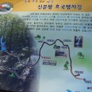 추원모차골 이미지