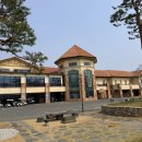 솔라고CC 라고 | [충남/태안] 태안 골프장 솔라고cc 라운드후기 feat.PXG제로토크 헬켓 퍼터