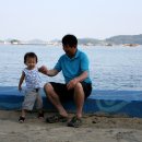 두바다찬솔 이미지