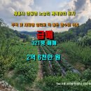 THE오름공인중개사사무소 이미지