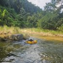 초롱이와두리 민박 이미지