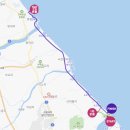 경포인공폭포 앞 | [25.10.18] 2025 경포 마라톤 대회 Half 후기🏃