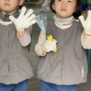 팜플러스 이미지