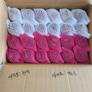 금당골 | 금당골평창사과 구입후기(농라)