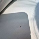 3인 가족 나트랑 첫 여행 _ 5~6일차 후기 (나트랑깜란 아미아나 조식.디너.해피아워 메뉴)