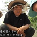 용늪농원