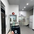 국민체육센터 앞 횡단보도 | 제주도 원정수영 수태기 탈출 제주국민체육센터(제주국립박물관, 제주 혼자여행 코스)