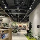 스파디움24 이미지