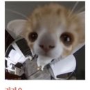 후루룩냠냠 - 제주시 | 후루룩냠냠