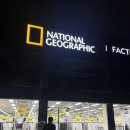 손곡로 | 내셔널지오그래픽 팩토리 아울렛 수지점 리뉴얼 오픈 80% 세일 특가 아우터 운동복 후기