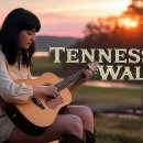 여우꼬리 이미지