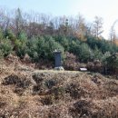 강릉김씨묘역 이미지