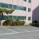 천년나무7단지 앞 이미지