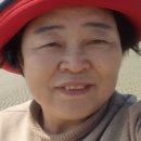 상지화원