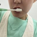 주식회사 삼송이앤엠홀딩스 네이버블로그