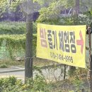 밤골농장 | 안성밤줍기체험 추천 밤골, 가성비 좋은 밤줍기 체험농장